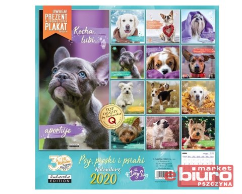 KALENDARZ CLASSIC Q PSY PASSION CARDS