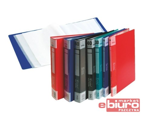 TECZKA Z 30 KOSZULKAMI A4 CLEAR BOOK ZIELO.1133/05