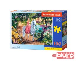 PUZZLE 100 B-111114 SECRET TRAIL CASTOR