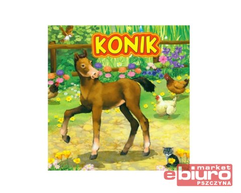 KSIĄŻECZKA KONIK 2140