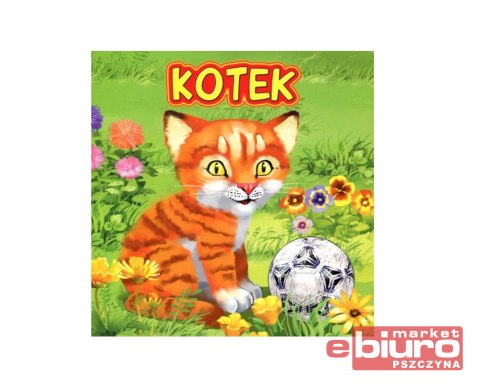 KSIĄŻECZKA KOTEK 2041