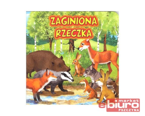 KSIĄŻECZKA ZAGINIONA RZECZKA 2430