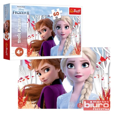 PUZZLE 60 ZACZAROWAN ŚWIAT ANNY I ELSY 1733 TREFL