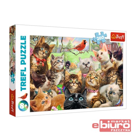 PUZZLE 260 TREFL 13241 KOTKI