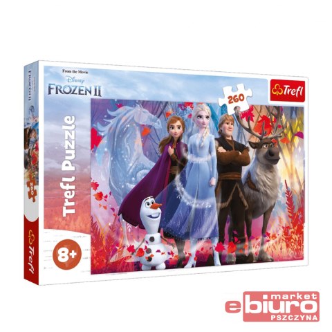 PUZZLE 260 TREFL 13250 W POSZUKIW. PRZYGÓD/FROZEN2