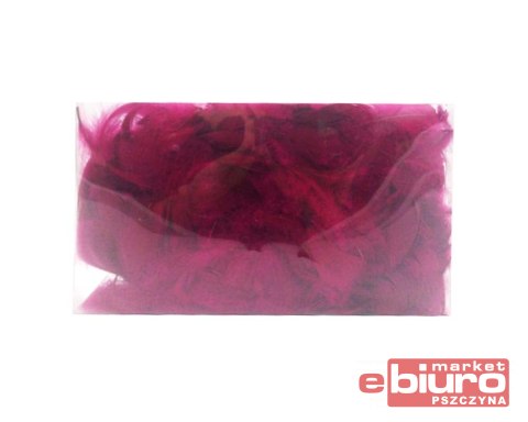 PIÓRKA FUKSJA PUDEŁKO 514-498 PENTACOLOR