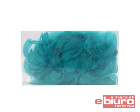 PIÓRKA TURKUSOWE PUDEŁKO 514-504 PENTACOLOR