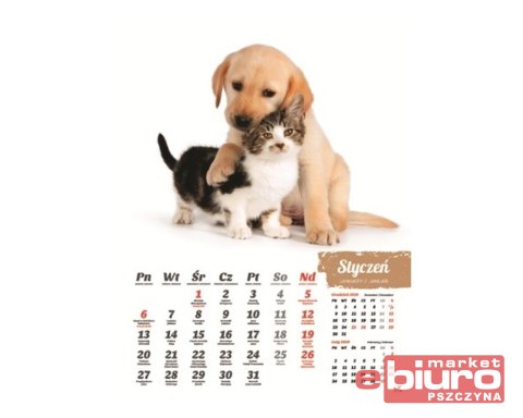 KALENDARZ 7-PLANSZOWY PRZYJACIELE ARTSEZON