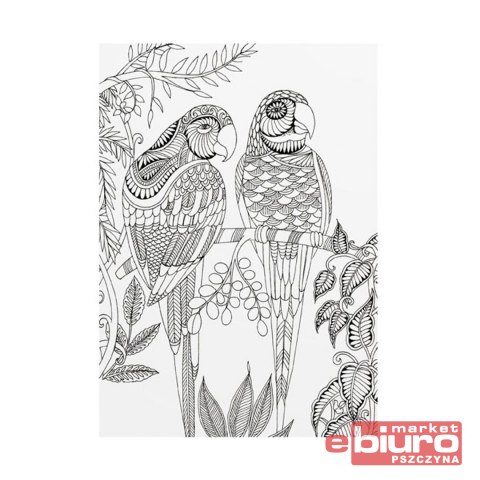 KOLOROWANKA ANTYSTRESOWA PIĘKNE PTAKI