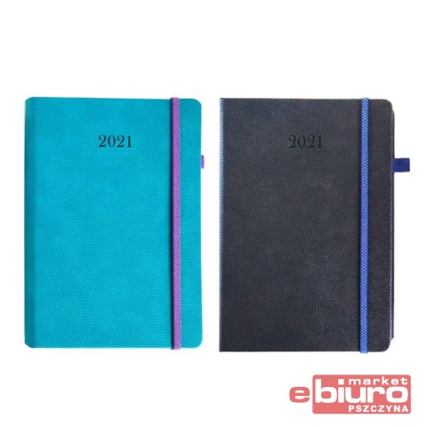 TERMINARZ A5 DZIENNY KROKODYLEK PRO ARTSEZON