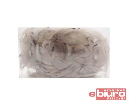 PIÓRKA SZARE PUDEŁKO 514-493 PENTACOLOR