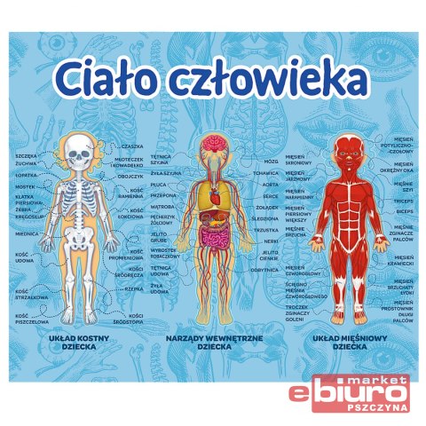 GRA CIAŁO CZŁOWIEKA MISTRZ WIEDZY 01957 TREFL