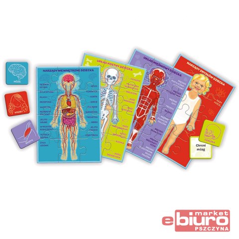 GRA MOJE CIAŁO MAŁY ODKRYWCA 01952 TREFL