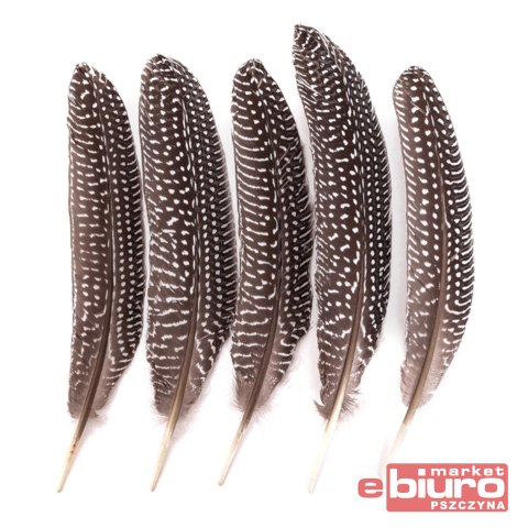 PIÓRA BAŻANTA 18-20CM 5 SZT