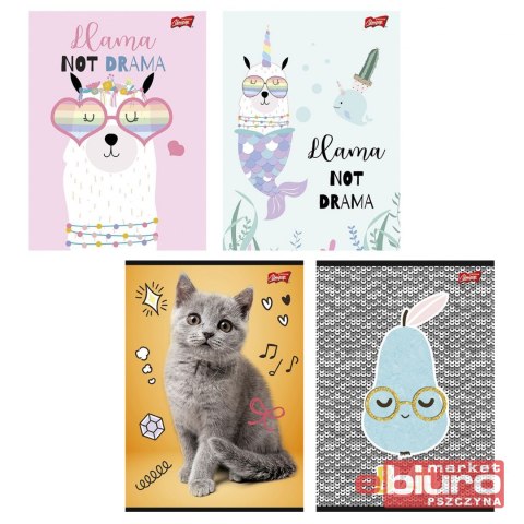 ZESZYT A5 16 KARTEK LINIA LAMINOWANY STRZEGOM