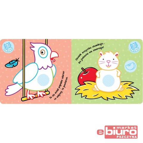 ZWIERZĘTA W DOMU KOLOR Z GRUBYM OBRYSEM NAKLEJKI