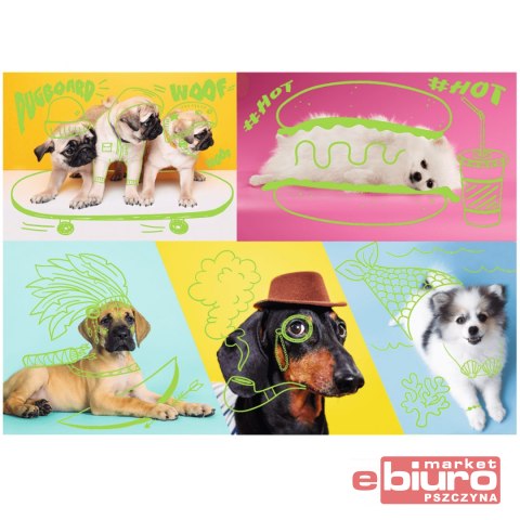 PUZZLE 1000 EL. TREFL ODLOTOWE PSY