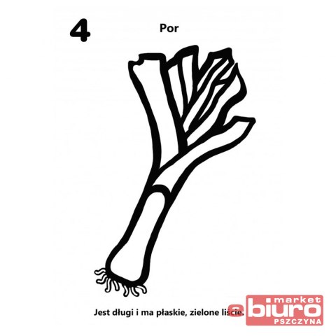 KOLOROWANKA LICZĘ I KOLORUJĘ WARZYWA 1728 NIKO