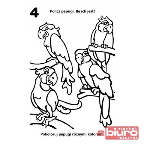 KOLOROWANKA LICZĘ I KOLORUJĘ ZOO 1667 NIKO