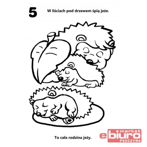 KOLOROWANKA LICZĘ I KOLORUJĘ ZWIERZĘTA LEŚNE NIKO