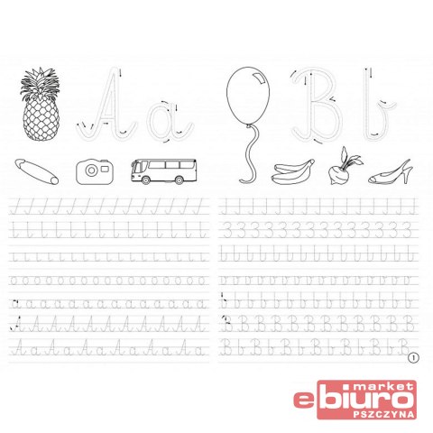 LITERKOWO ĆWICZENIE DO KALIGRAFII 5050 NIKO