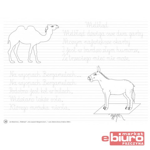 LITERKOWO ĆWICZENIE DO KALIGRAFII 5050 NIKO