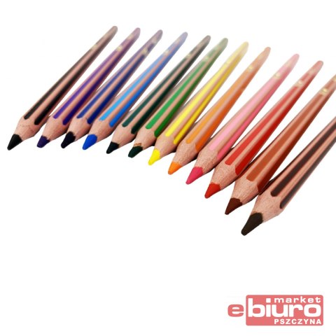 KREDKI EVOLUTION STRIPES 12 KOLORÓW BIC