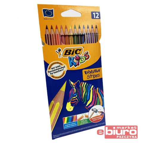 KREDKI EVOLUTION STRIPES 12 KOLORÓW BIC