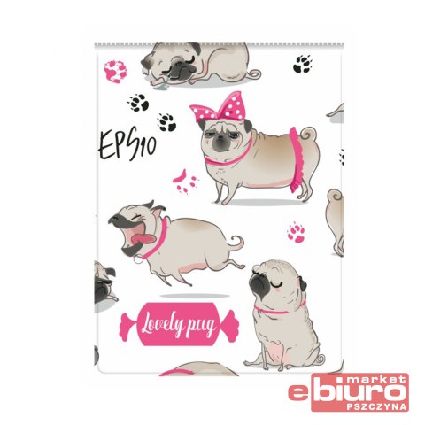 DOKUMENTY UCZNIA PION MOPS