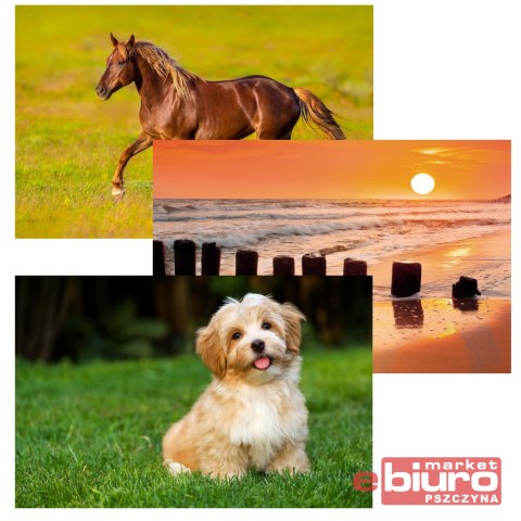 KALENDARZ TRÓJDZIELNY T-105T-01 MICHALCZYK