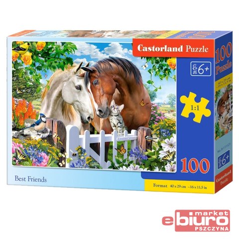 PUZZLE 100 B-111121 BEST FRIENDS CASTOR