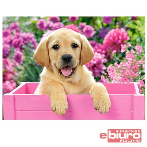 PUZZLE 300 B-030071 LABRADOR PUPPY IN PINK CASTOR