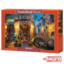 PUZZLE 3000 EL. C-300426-2 OUR SPECIAL PLACE IN V