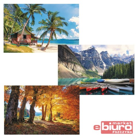 TERMINARZ ŚCIENNY T-107S-01 MICHALCZYK