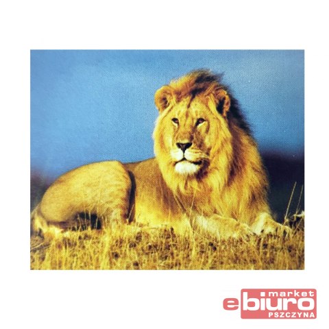 DIAMENTOWA MOZAIKA PAK 120 NO-1004940 NORIMPEX