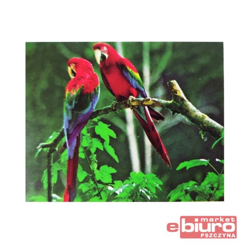 DIAMENTOWA MOZAIKA PAK 120 NO-1004942 NORIMPEX