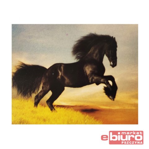 DIAMENTOWA MOZAIKA PAK 120 NO-1004943 NORIMPEX