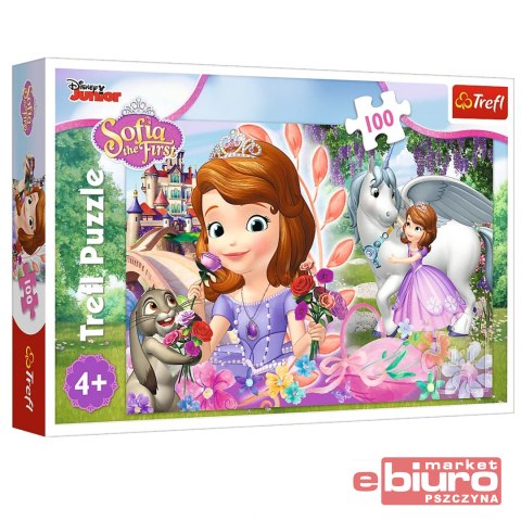 PUZZLE 100 W KRÓLESTWIE PRZYGÓD TREFL 16344