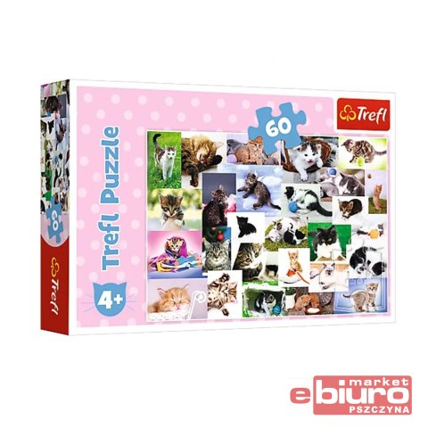 PUZZLE 60 KOCI ŚWIAT 17332 TREFL