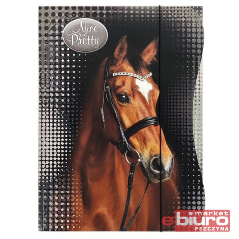 TECZKA Z GUMKĄ A4 NICE & PRETTY BENIAMIN