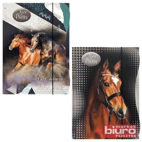 TECZKA Z GUMKĄ A4 NICE & PRETTY BENIAMIN