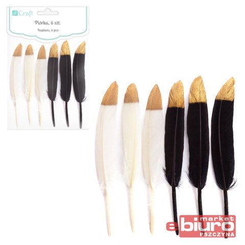 PIÓRKA DEKORACYJNE BLACK&ECRU 13-15CM 6 SZT