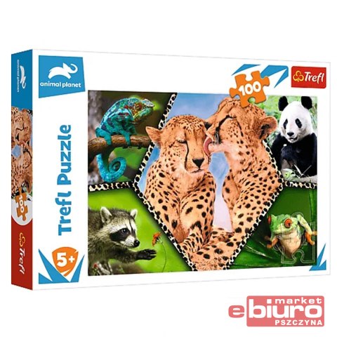 PUZZLE 100 PIĘKNO NATURY 16424 TREFL