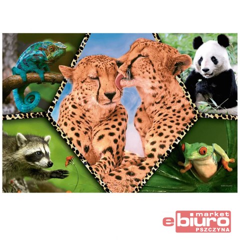 PUZZLE 100 PIĘKNO NATURY 16424 TREFL