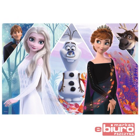 PUZZLE 100 ZACZAROWANA KRAINA 16418 TREFL