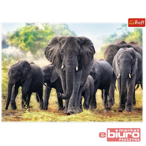 PUZZLE 1000 AFRYKAŃSKIE SŁONIE 10442 TREFL