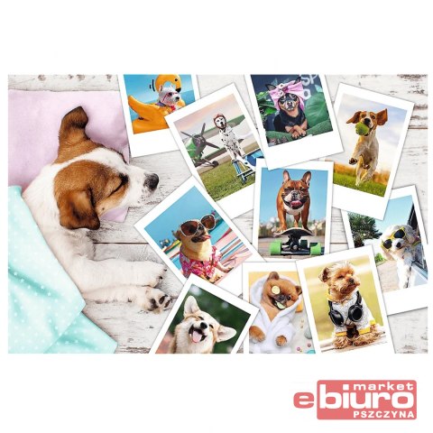 PUZZLE 300 ZDJĘCIA Z WAKACJI 23003 TREFL