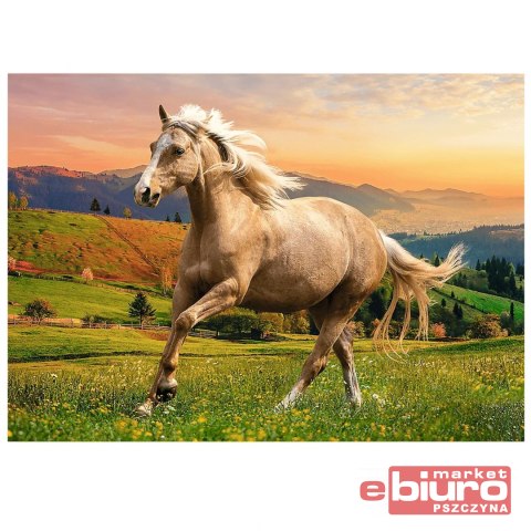 PUZZLE 500 GALOP W PO POŁUDNIOWYM SŁOŃCU TREFL