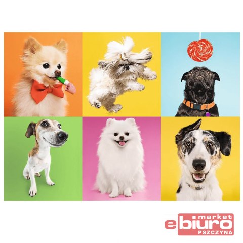 PUZZLE 500 PSY 37378 TREFL