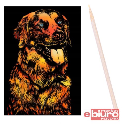 ZDRAPYWANKA PAK 200 PIES NO-1006255 NORIMPEX